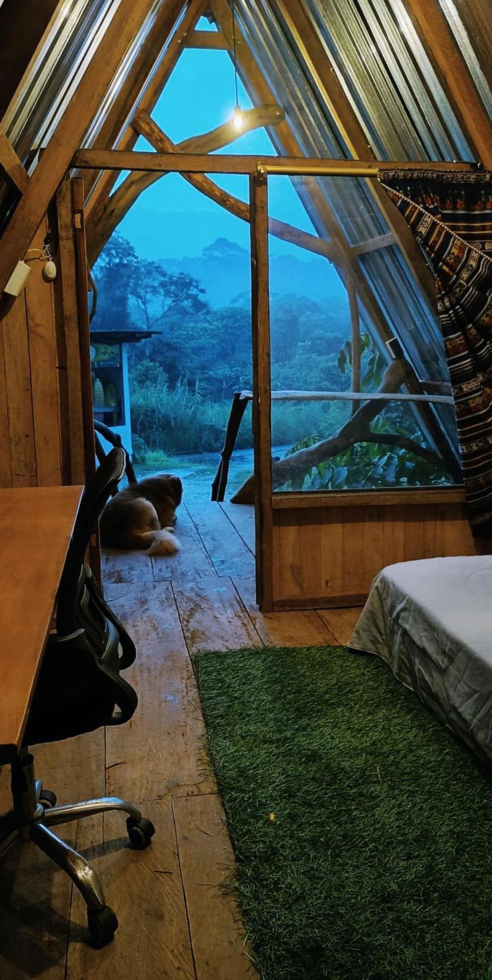 Jungle Roots Hotel Tena Kamer foto